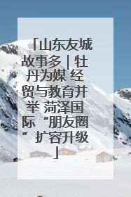 山东友城故事多｜牡丹为媒 经贸与教育并举 菏泽国际“朋友圈”扩容升级