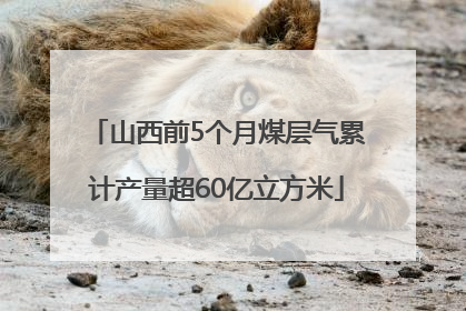 山西前5个月煤层气累计产量超60亿立方米