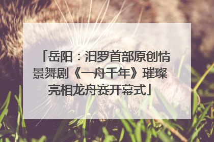 岳阳：汨罗首部原创情景舞剧《一舟千年》璀璨亮相龙舟赛开幕式