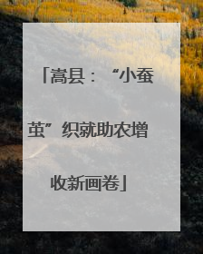嵩县：“小蚕茧”织就助农增收新画卷