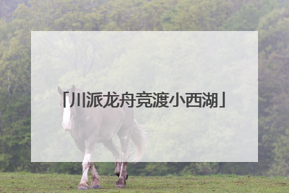 川派龙舟竞渡小西湖