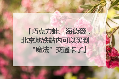 巧克力蛙、海德薇，北京地铁站内可以买到“魔法”交通卡了