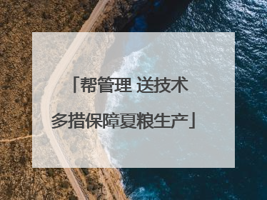 帮管理 送技术 多措保障夏粮生产