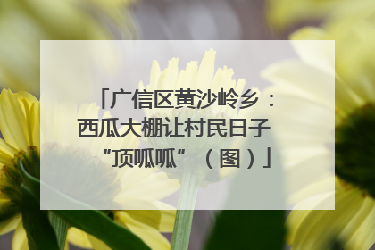广信区黄沙岭乡：西瓜大棚让村民日子“顶呱呱”（图）