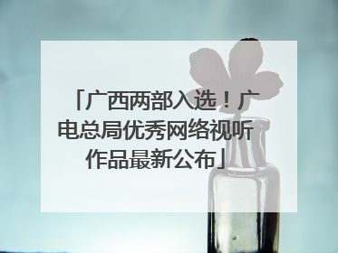 广西两部入选！广电总局优秀网络视听作品最新公布