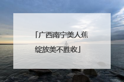 广西南宁美人蕉绽放美不胜收