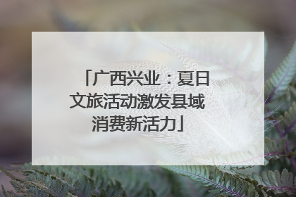 广西兴业：夏日文旅活动激发县域消费新活力