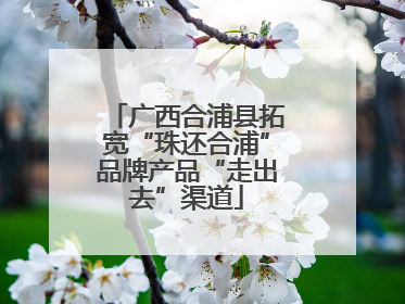 广西合浦县拓宽“珠还合浦”品牌产品“走出去”渠道