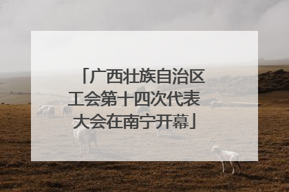 广西壮族自治区工会第十四次代表大会在南宁开幕