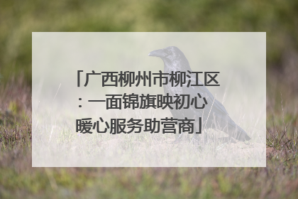 广西柳州市柳江区：一面锦旗映初心 暖心服务助营商