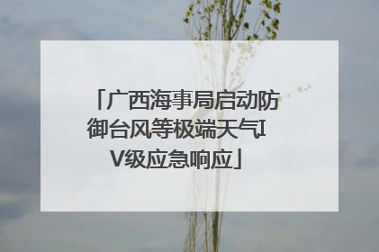 广西海事局启动防御台风等极端天气IV级应急响应
