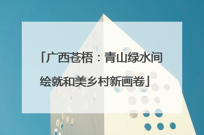 广西苍梧：青山绿水间绘就和美乡村新画卷