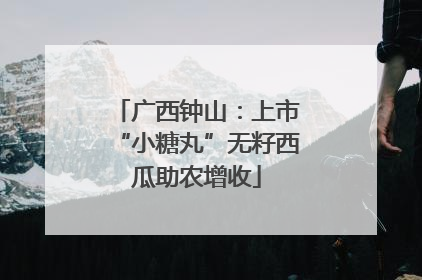 广西钟山：上市“小糖丸”无籽西瓜助农增收