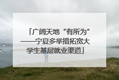 广阔天地“有所为”——宁夏多举措拓宽大学生基层就业渠道