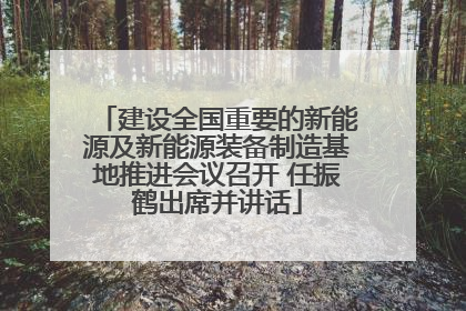 建设全国重要的新能源及新能源装备制造基地推进会议召开 任振鹤出席并讲话