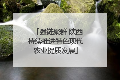 强链聚群 陕西持续推进特色现代农业提质发展