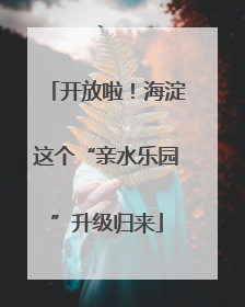 开放啦！海淀这个“亲水乐园”升级归来