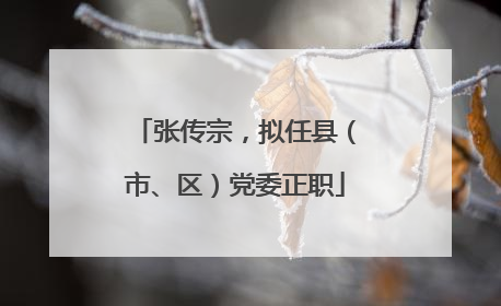 张传宗，拟任县（市、区）党委正职