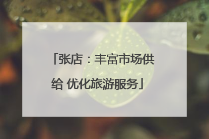 张店：丰富市场供给 优化旅游服务