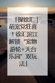 探徐汇｜萌宠党狂喜！徐汇滨江解锁“宠物游轮+天台乐园”双玩法