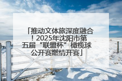 推动文体旅深度融合！2025年沈阳市第五届“联盟杯”橄榄球公开赛燃情开赛