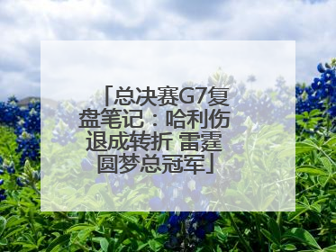总决赛G7复盘笔记：哈利伤退成转折 雷霆圆梦总冠军