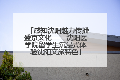 感知沈阳魅力传播盛京文化——沈阳医学院留学生沉浸式体验沈阳文旅特色