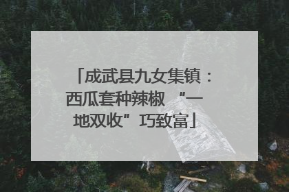 成武县九女集镇：西瓜套种辣椒 “一地双收”巧致富