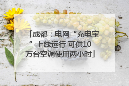 成都：电网“充电宝”上线运行 可供10万台空调使用两小时