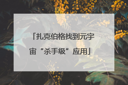 扎克伯格找到元宇宙“杀手级”应用