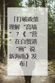 打破政策理解“高墙”？《“营”在自贸港 “画”说新海南》发布
