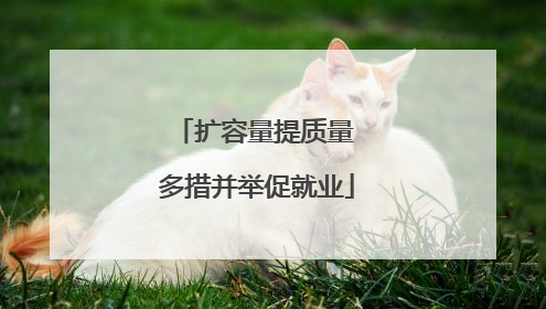 扩容量提质量 多措并举促就业