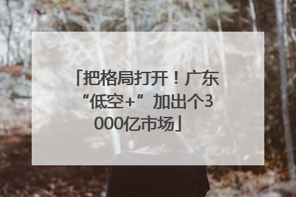 把格局打开！广东“低空+”加出个3000亿市场