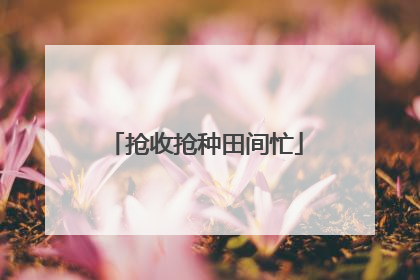 抢收抢种田间忙
