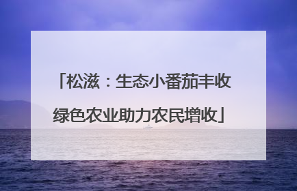 松滋：生态小番茄丰收 绿色农业助力农民增收