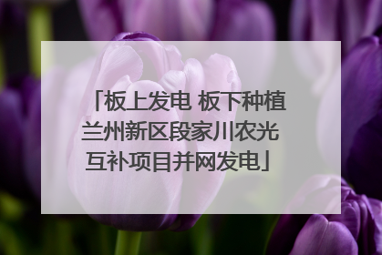 板上发电 板下种植 兰州新区段家川农光互补项目并网发电