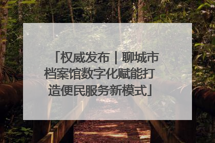 权威发布｜聊城市档案馆数字化赋能打造便民服务新模式