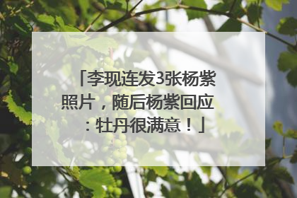 李现连发3张杨紫照片，随后杨紫回应：牡丹很满意！