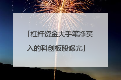杠杆资金大手笔净买入的科创板股曝光