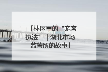 林区里的“宠客执法”｜湖北市场监管所的故事