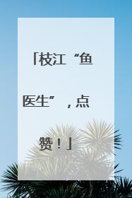 枝江“鱼医生”，点赞！
