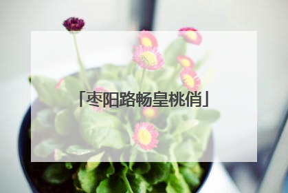 枣阳路畅皇桃俏