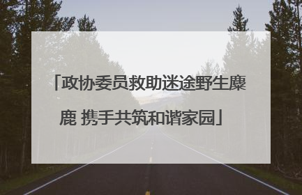 政协委员救助迷途野生麋鹿 携手共筑和谐家园