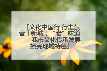 文化中国行 行走东营丨新城，“老”味道——我市文化传承发展擦亮地域特色