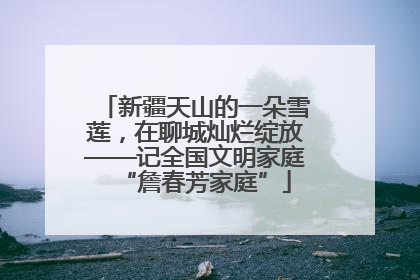 新疆天山的一朵雪莲，在聊城灿烂绽放——记全国文明家庭“詹春芳家庭”