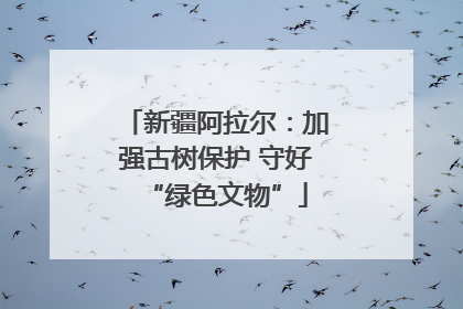 新疆阿拉尔：加强古树保护 守好“绿色文物”