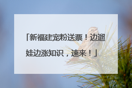 新福建宠粉送票！边遛娃边涨知识，速来！