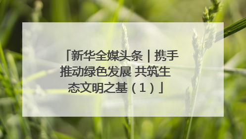 新华全媒头条｜携手推动绿色发展 共筑生态文明之基（1）