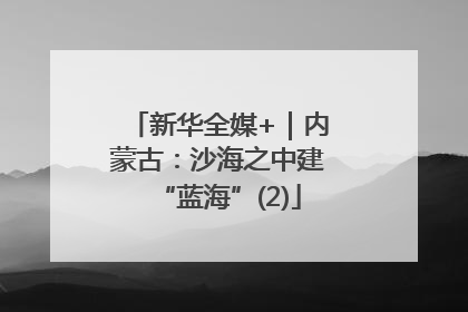 新华全媒+｜内蒙古：沙海之中建“蓝海”(2)