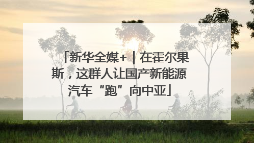 新华全媒+｜在霍尔果斯，这群人让国产新能源汽车“跑”向中亚